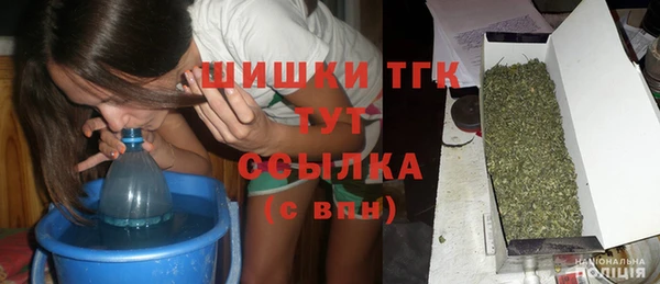 PSILOCYBIN Абдулино