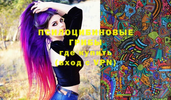 PSILOCYBIN Абдулино