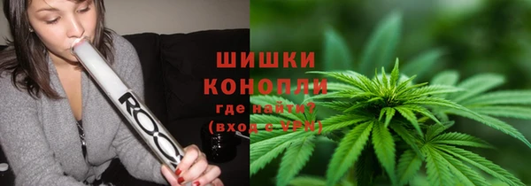 сатива Абинск
