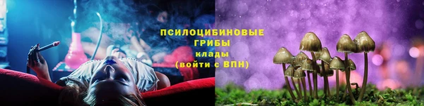 не бодяженный Абаза