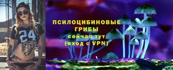 дживик Надым