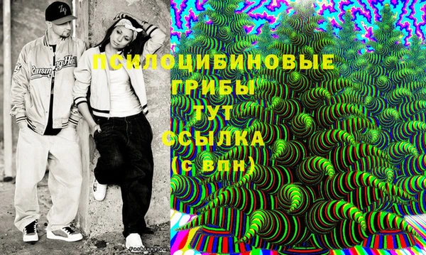 PSILOCYBIN Абдулино