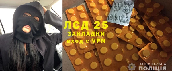 PSILOCYBIN Абдулино