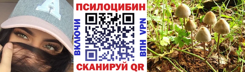 Псилоцибиновые грибы GOLDEN TEACHER  Кострома 
